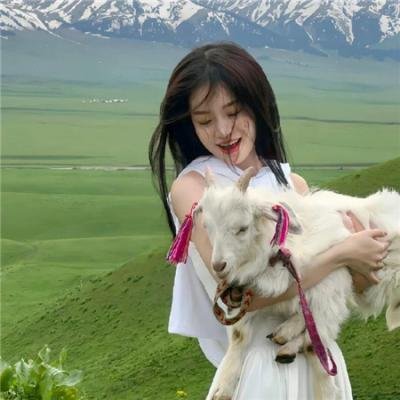 迦楼罗的利爪2018